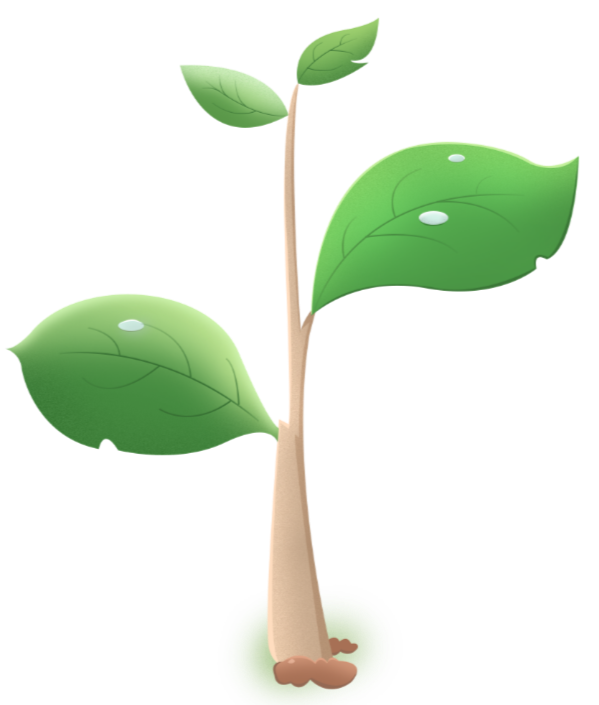 山西低碳环保（煤规院）集团党委组织开展“植”此青绿，“树”梦远航公益植树活动(图8)